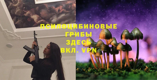 a pvp Белокуриха