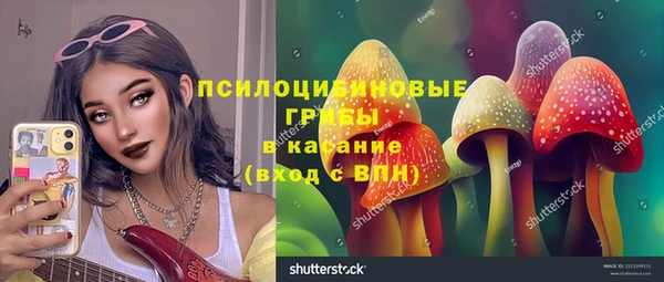 стафф Беломорск