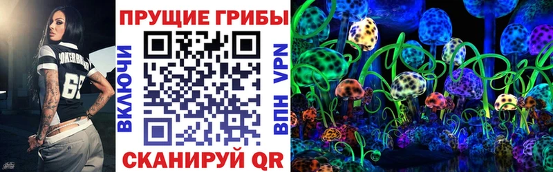 blacksprut ТОР  Короча  Галлюциногенные грибы Psilocybine cubensis  купить закладку 