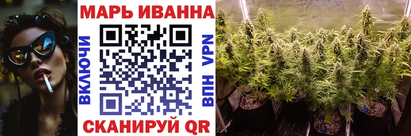 mega как войти  продажа наркотиков  Короча  Бошки марихуана план 